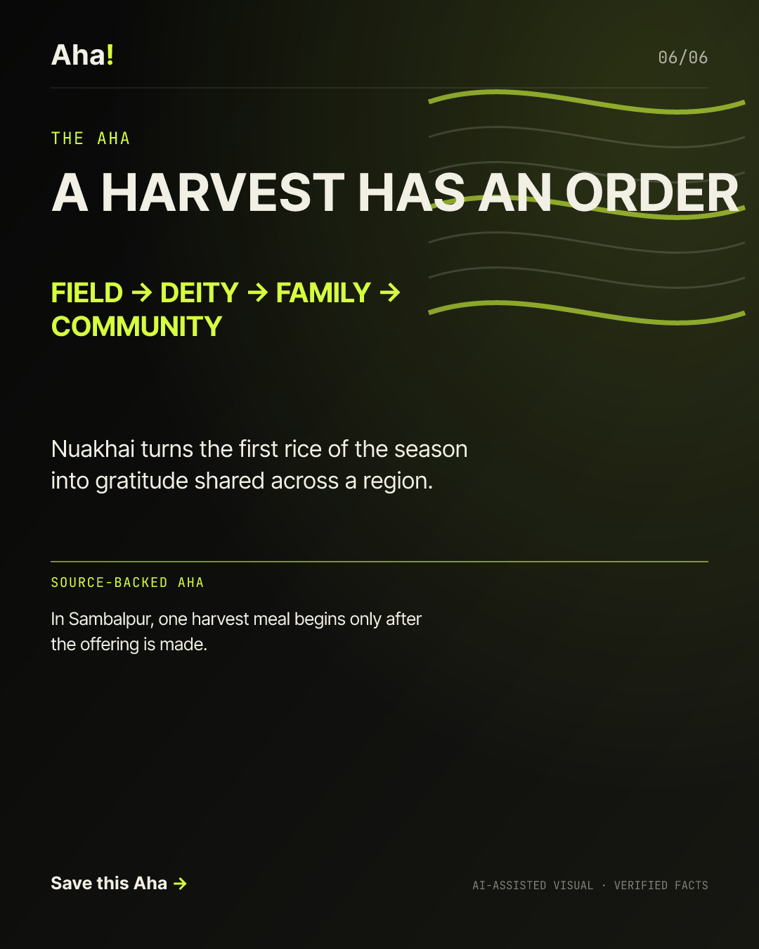Paddy fields and a family harvest gathering representing the Nuakhai sequence.