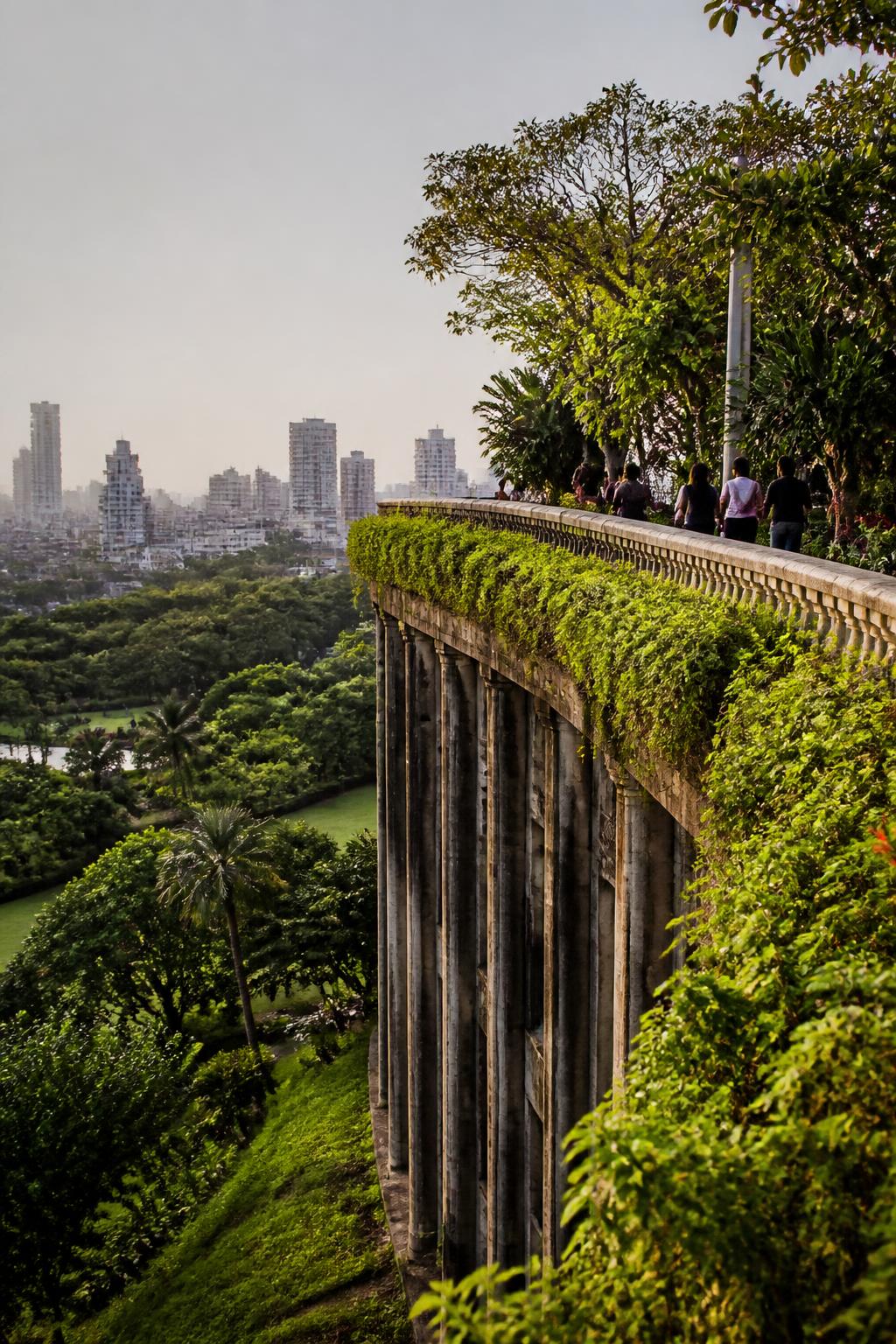 Garden landscape above municipal reservoir roof.